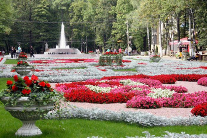 Подмосковные проекты по благоустройству включили в реестр лучших