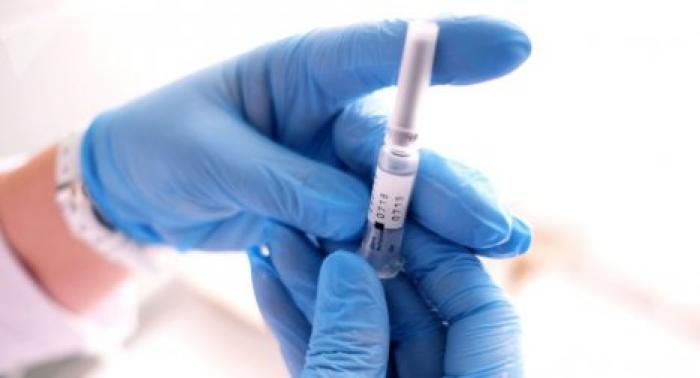 Вакцинация- единственный способ спастись при заражении бешенством