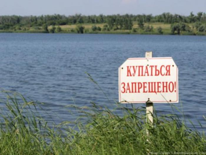 В лимане у берегов Затоки обнаружен холерный вибрион
