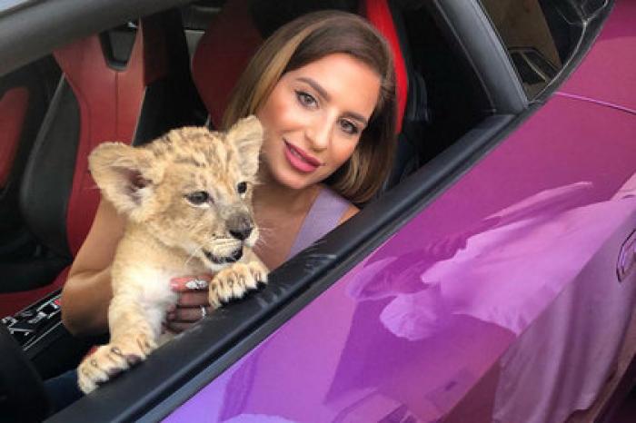 Блогерша позволила львенку поиграть в Lamborghini и пожалела