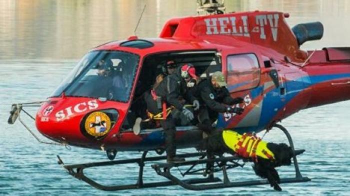 На празднике в Италии собаки спасли восемь человек в море