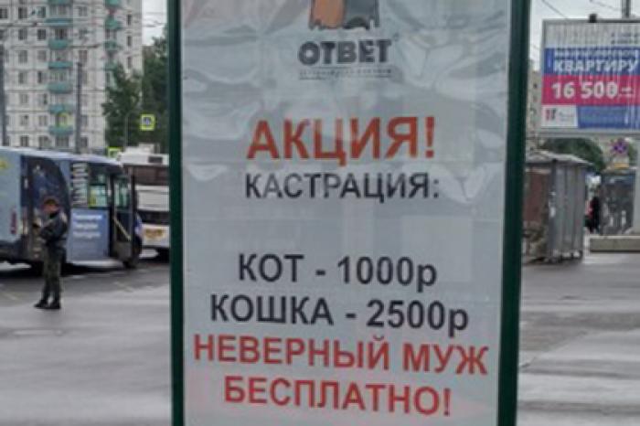 Публичное предложение кастрировать мужчин заинтересовало чиновников