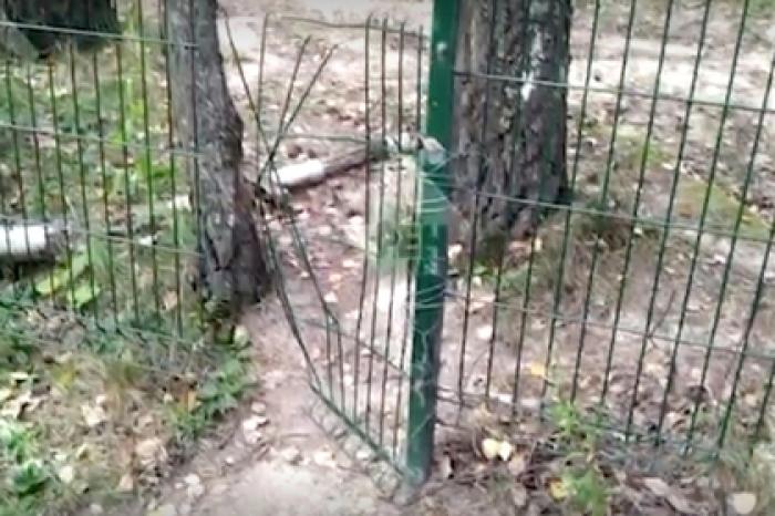Появилось видео с места нападения на Памфилову