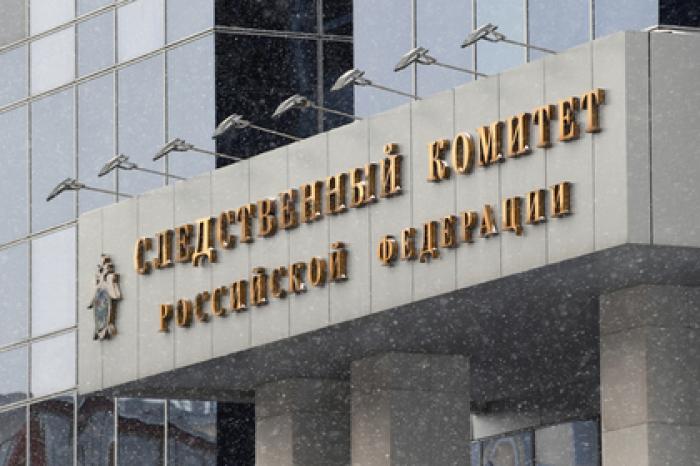 СК попросил вернуть из суда дело защищавшего щенка подростка