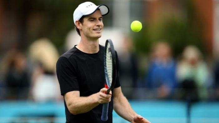 Энди Марей пробился в четвертьфинал турнира ATP
