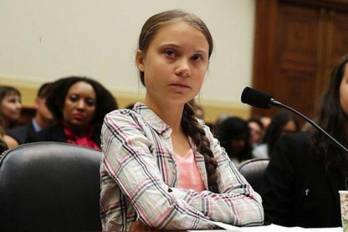 Грета Тунберг стерла ответ на слова Путина о ней