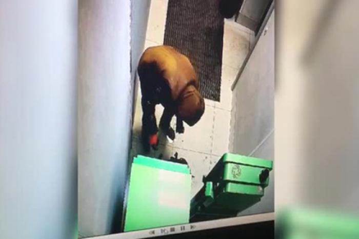 Взрыв при попытке взлома банкомата россиянином попал на видео