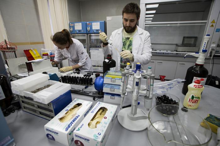 WADA получила ответы от России