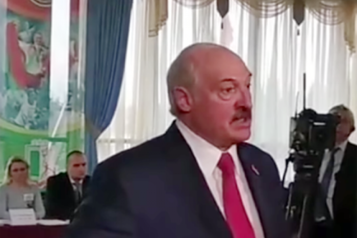 Лукашенко призвал вправить мозги наблюдателю за выборами