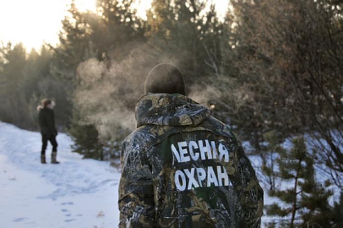 Патрулирование подмосковных лесов усилят перед Новым годом