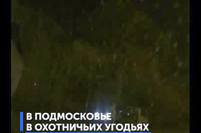 Появилось видео задержания охотившегося на косуль из окна Gelandewagen чиновника