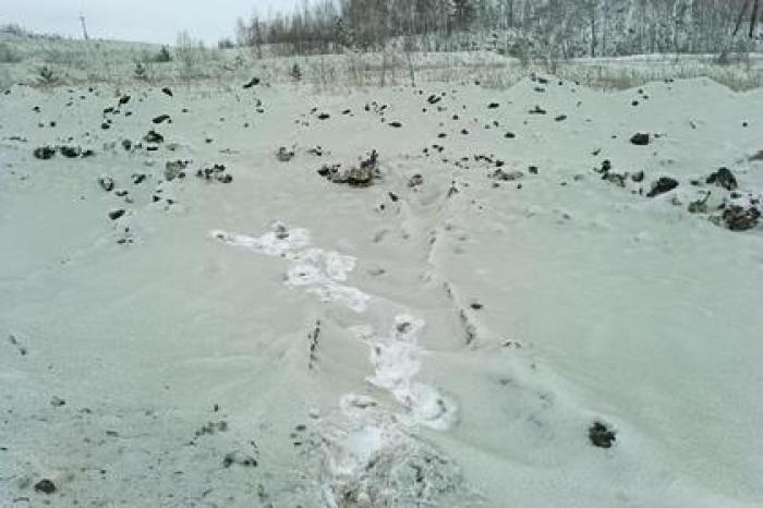В российском городе нашли зеленый снег