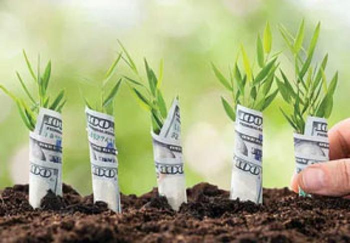 AIPA A LANSAT CAMPANIA DE RECEPŢIONARE A CERERILOR DIN PARTEA PRODUCĂTORILOR AGRICOLI PENTRU SUBVENŢIONARE