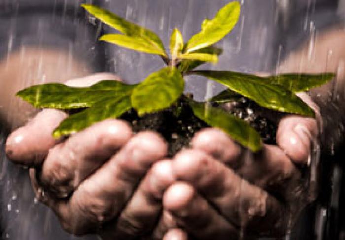 MINISTERUL AGRICULTURII DEFINITIVEAZĂ PROIECTULUI DE LEGE MENIT SĂ REGLEMENTEZE CLAR ACTIVITATEA DE ASIGURARE ÎN AGRICULTURĂ