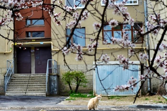 Россиянам рассказали о погоде в начале весны