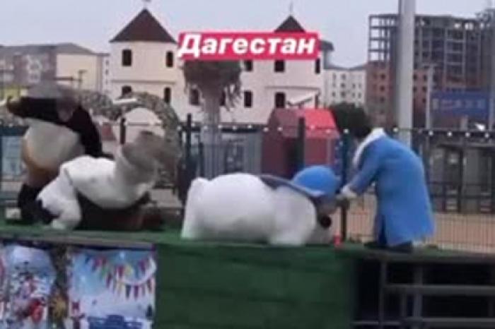 Драка дагестанцев в костюмах героев «Маши и Медведя» попала на видео