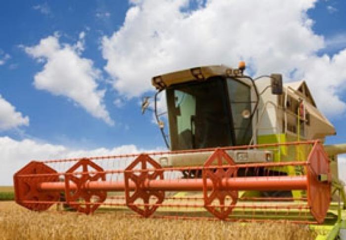 PRODUCĂTORII AGRICOLI SUNT ÎNGRIJORAŢI DE POSIBILELE CONSECINŢE ALE COVID-19