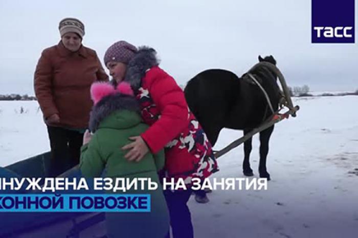 Российской школьнице с ДЦП пришлось ездить в школу на лошадях из-за бездорожья
