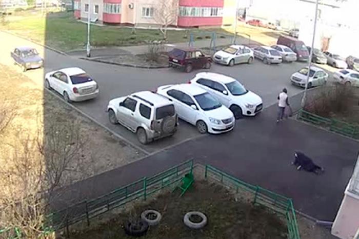 Россиянин отнял у пенсионерки тележку с продуктами, толкнул ее и попал на видео