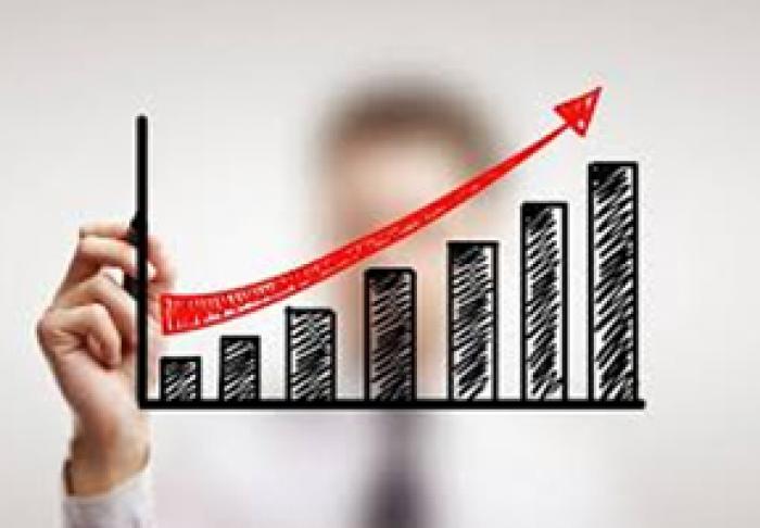 VENITURILE FISCALE LA BUGET AU CRESCUT APROAPE CU 5%
