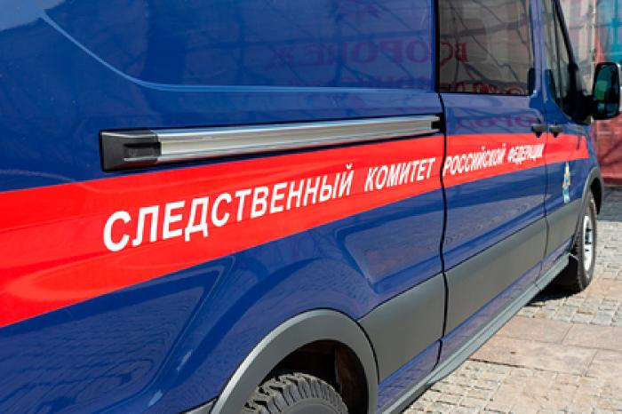 Российская школьница успела позвонить родителям и спастись из рук педофила