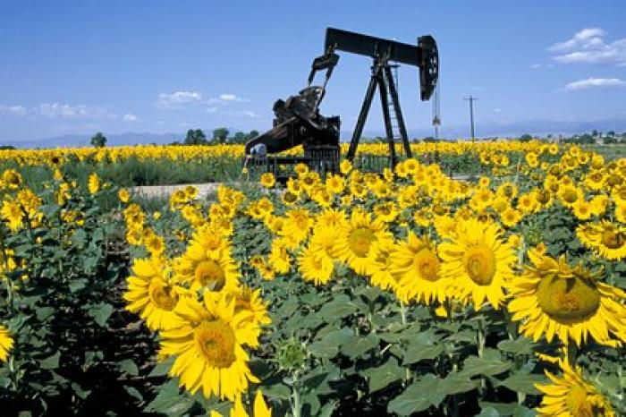 Саудовская Аравия потеснила российскую нефть на рынке в Европе