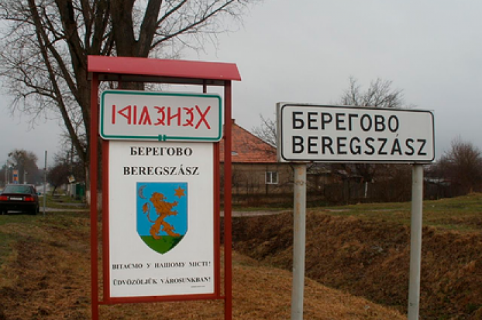 Венгры станут национальным достоянием Украины