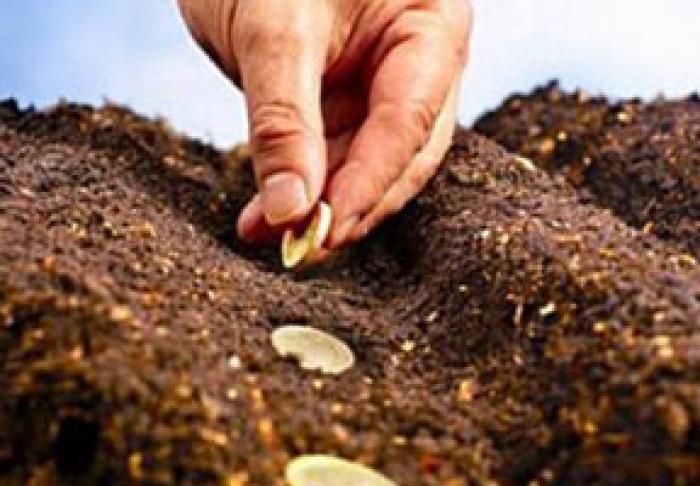 AIPA A ÎNCEPUT SĂ RECEPŢIONEZE CERERI PENTRU PRIMIREA SUBVENŢIILOR PENTRU ÎMBUNĂTĂȚIREA NIVELULUI DE TRAI ÎN MEDIUL RURAL
