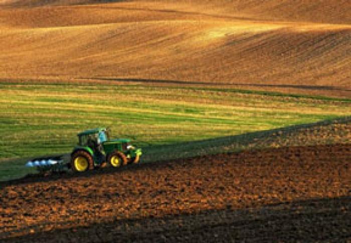 DE LA ÎNCEPUTUL LUNII FEBRUARIE, FERMIERII MOLDOVENI AU SOLICITAT SUBVENŢII ÎN SUMĂ DE 232 MIL. LEI