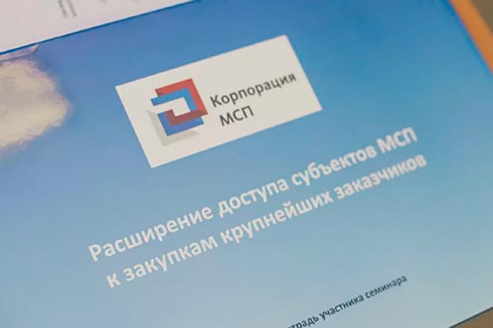 Корпорация МСП и РГО запустят новые продукты для возобновления деятельности МСП