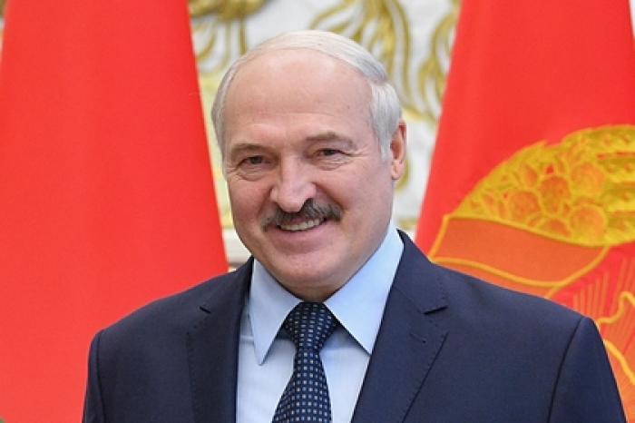 Лукашенко призвал использовать опилки в качестве топлива