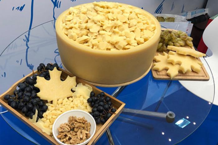 Подмосковье стало крупнейшим экспортером молочной продукции