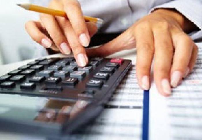 VENITURILE FISCALE LA BUGET S-AU REDUS CU 2,3%