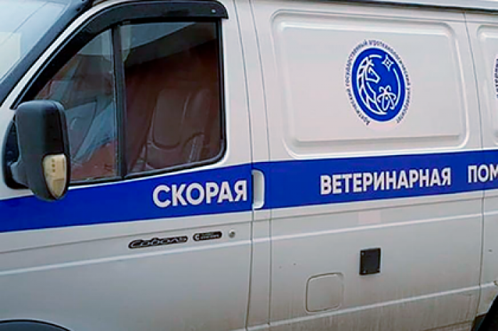 В Якутии появилась скорая помощь для животных