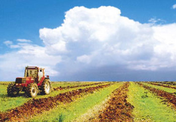 PAS A ÎNREGISTRAT UN PROIECT DE LEGE CARE VA EXCLUDE TVA-UL PENTRU AGRICULTORI