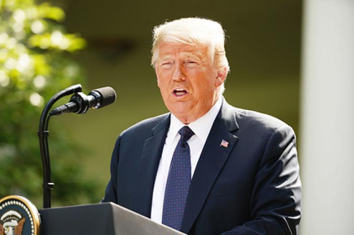 Принадлежащую Трампу организацию заподозрили в восхвалении Гитлера