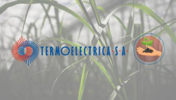 „TERMOELECTRICA” INTENŢIONEAZĂ SĂ PRODUCĂ ENERGIE TERMICĂ DIN BIOMASĂ