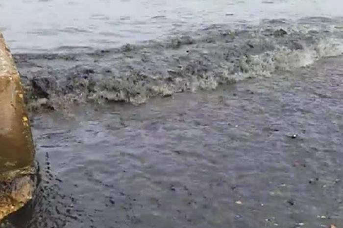 Залитые нечистотами пляжи в Крыму сняли на видео