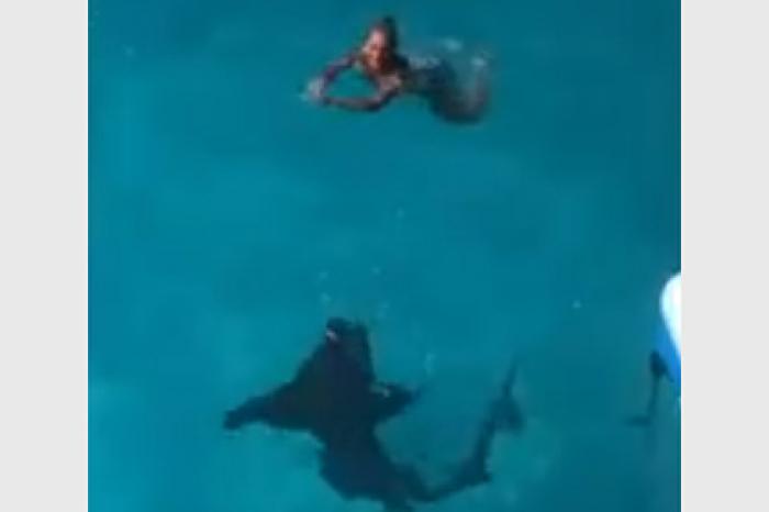 Акула вплотную подплыла к ничего не подозревающей имениннице и попала на видео
