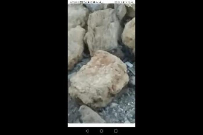 Бегающие по пляжу на российском курорте крысы попали на видео