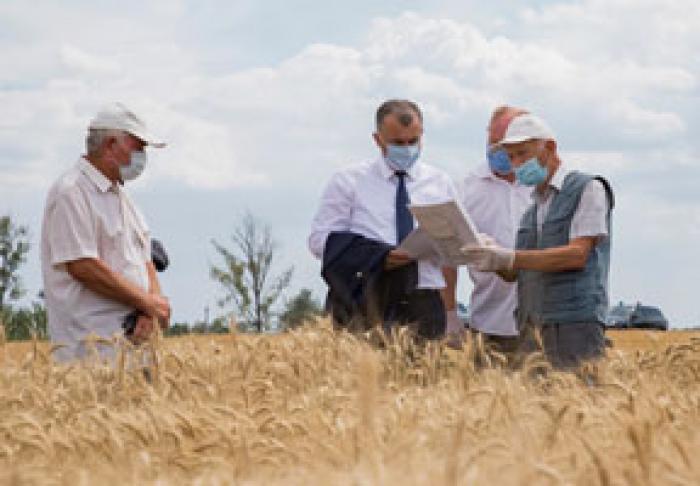 GUVERNUL INTENŢIONEAZĂ SĂ ACORDE SUBVENŢII DOAR AGRICULTORILOR CARE RESPECTĂ ASOLAMENTUL