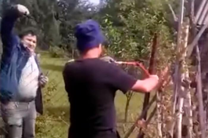 Российский дачник поругался из-за забора с соседом и выстрелил в него