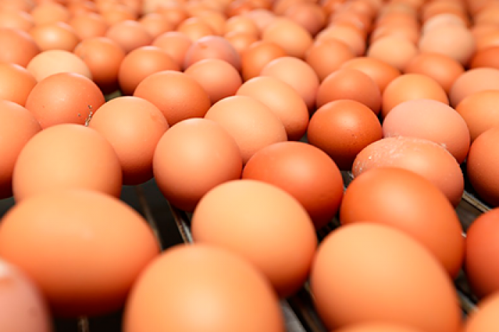 Российский регион выполнил 85 процентов плана по экспорту сельхозпродукции