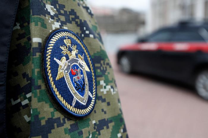 Выкравшая младенца из роддома россиянка получила срок