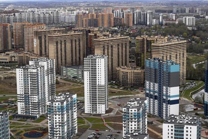 Иностранка удивилась вылезающим из канализации комарам в Санкт-Петербурге