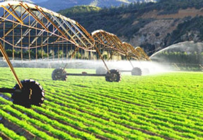 MOLDOVA AR PUTEA PRIMI CIRCA 23 MLN. DE EURO PENTRU DEZVOLTAREA DURABILĂ A AGRICULTURII