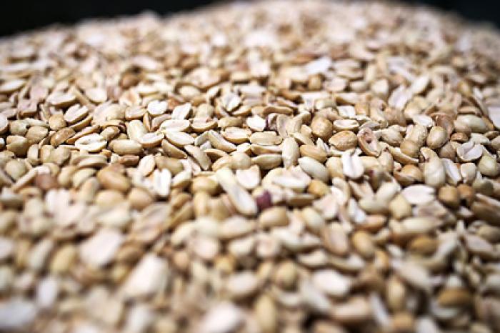 Россиянам назвали продукт для укрепления сна и профилактики рака