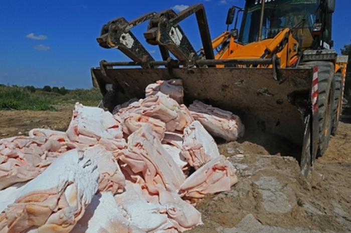 Россияне высказались против уничтожения санкционных продуктов