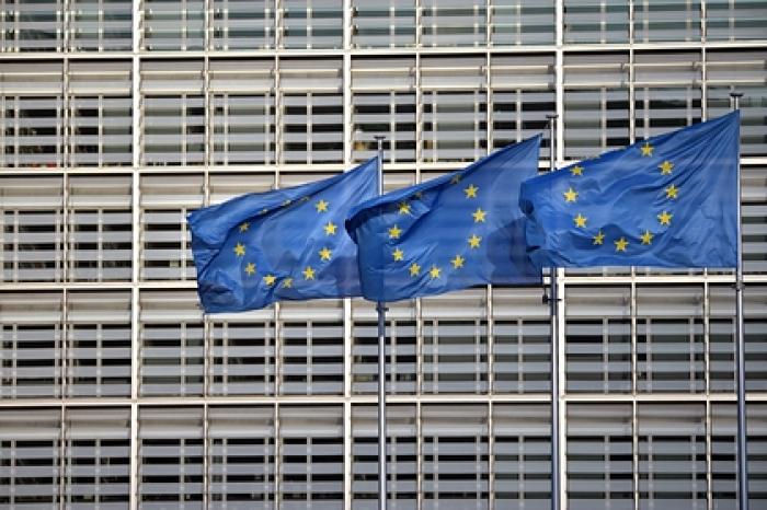 Эстония призовет страны ЕС ввести санкции из-за Навального