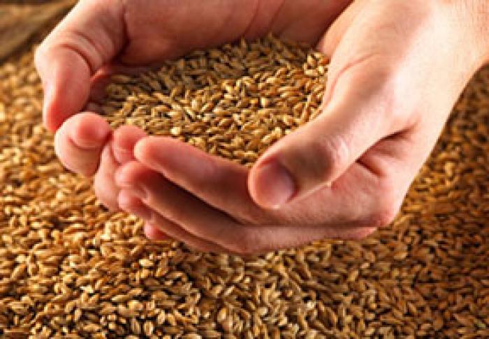 GUVERNUL A RIDICAT RESTRICȚIILE LA IMPORTURILE DE FURAJE DIN UCRAINA PENTRU A CONSOLIDA SECURITATEA ALIMENTARĂ